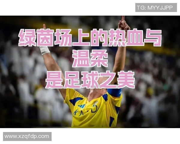 快板解说足球精彩瞬间让你领略绿茵场上的激烈对抗与团队合作的魅力